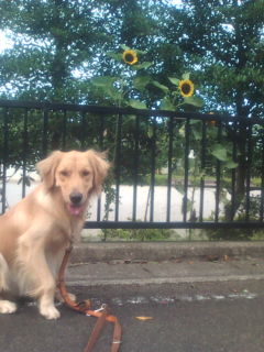 �܂��܂��e�X�g�B